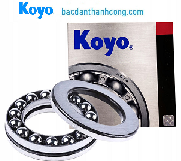 bac-dan-cha-koyo-tai-gia-lai