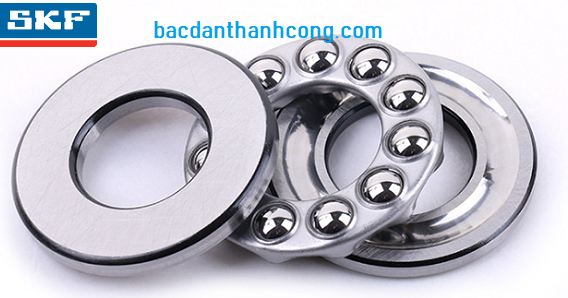 bac-dan-cha-skf-tai-binh-thuan