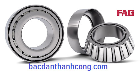 bac-dan-con-fag-chinh-hang-tai-binh-dinh