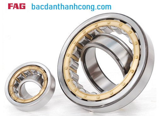 bac-dan-dua-fag-chinh-hang-tai-binh-dinh