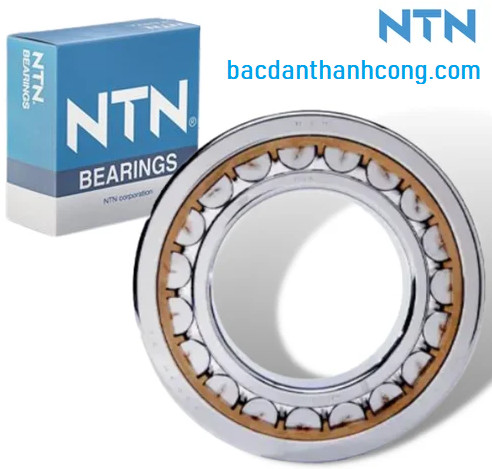 bac-dan-dua-ntn-chinh-hang-tai-lam-dong