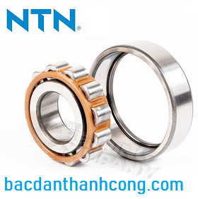 bac-dan-dua-ntn-chinh-hang-tai-quang-ngai