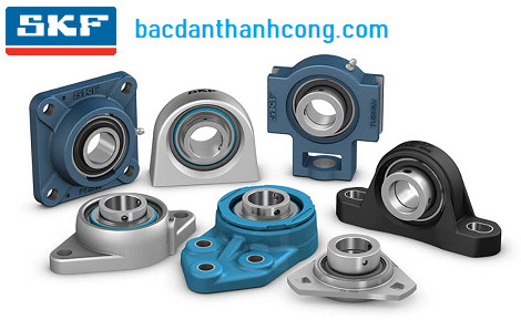 bac-dan-goi-do-skf-chinh-hang-tai-gia-lai