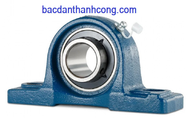 bac-dan-goi-do-ucp-204-skf-asahi-chinh-hang-gia-re