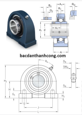 bac-dan-goi-do-ucpa201-asahi-skf-ntn-nsk-koyo-lk-chinh-hang-gia-re