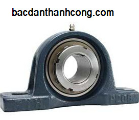 bac-dan-goi-do-ukp205-asahi-skf-nsk-ntn-lk-gia-tot