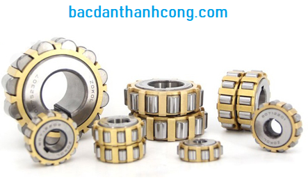 bac-dan-lech-tam-tai-binh-thuan