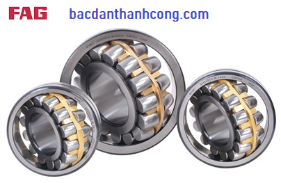 bac-dan-tang-trong-fag-chinh-hang-tai-binh-dinh