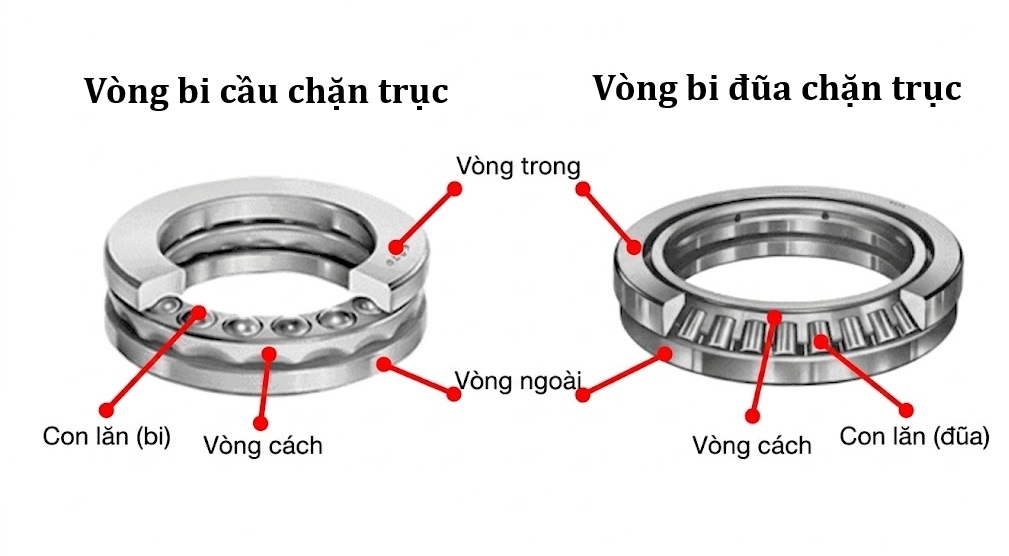 cau-tao-vong-bi-bac-dan-chan-truc