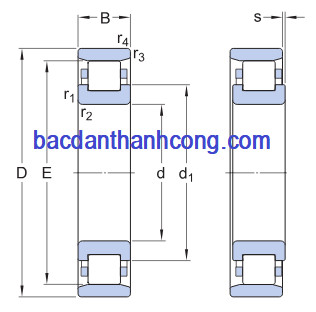 ban-ve-vong-bi-bac-dan-dua-1-day-n