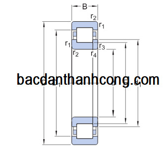 ban-ve-vong-bi-bac-dan-nup-1017-ml-skf-nsk-fag-koyo-nachi-ntn