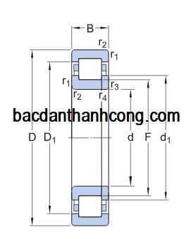 ban-ve-vong-bi-bac-dan-nup-219-ecp-skf-nsk-fag-koyo-nachi-ntn