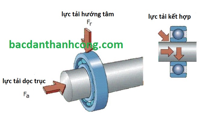 cac-loai-luc-tai-tac-dong-len-vong-bi-bac-dan