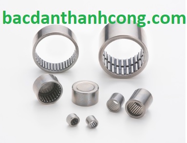 cau-tao-cua-bac-dan-kim-vong-bi-kim