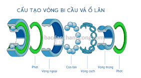 cau-tao-vong-bi-bac-dan-skf