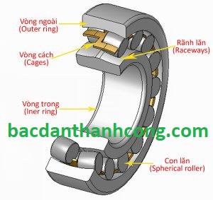 cau-tao-vong-bi-bac-dan-tang-trong-bac-dan-nhao