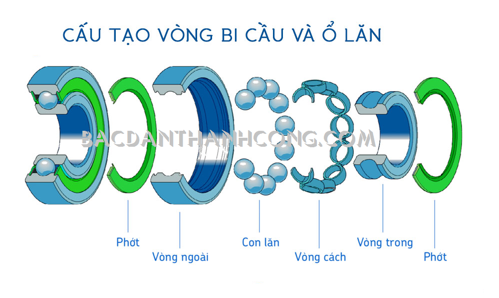 cau-tao-vong-bi-koyo-thong-thuong