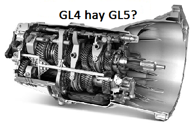 gl4-hay-gl5