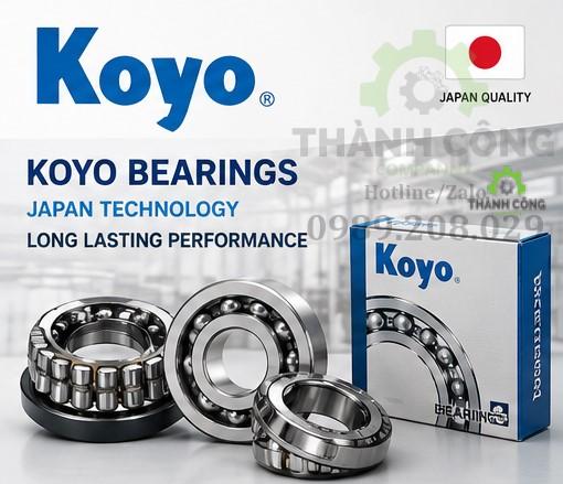 vong-bi-bac-dan-koyo