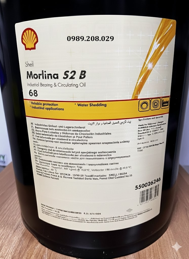 shell-morlina-68