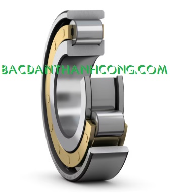 hinh-anh-vong-bi-bac-dan-n-207-ecm-skf-re-dong