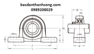 kich-thuoc-bac-dan-goi-do-bllp1j-asahi