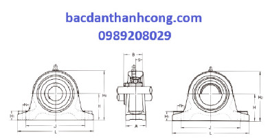 kich-thuoc-bac-dan-goi-do-ucip212-asahi