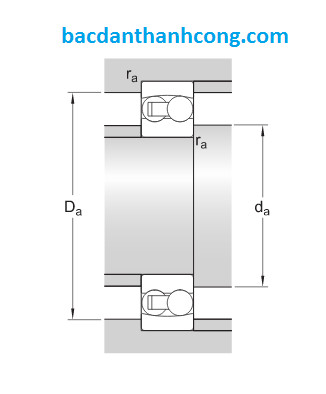 kich-thuoc-mat-tua-vong-bi-bac-dan-1200-etn9-skf