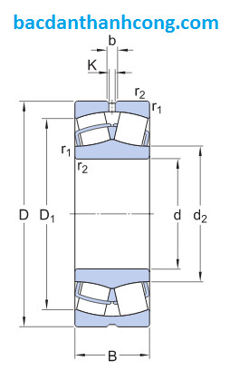 kich-thuoc-mat-tua-vong-bi-bac-dan-23060-2cs5-vt143-skf