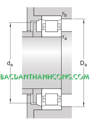 kich-thuoc-mat-tua-vong-bi-bac-dan-dua-tru-n-203-skf