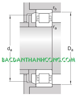 kich-thuoc-mat-tua-vong-bi-bac-dan-n305-ecp-skf-nsk-fag-koyo-nachi-ntn