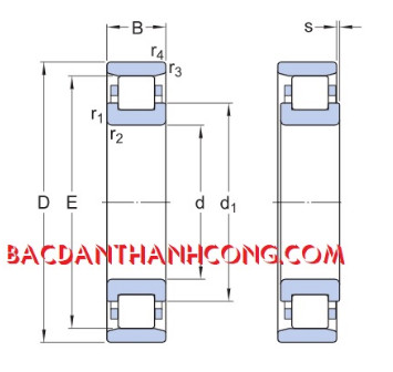 kich-thuoc-vong-bi-bac-dan-n305-ecp-skf-nsk-fag-koyo-nachi-ntn