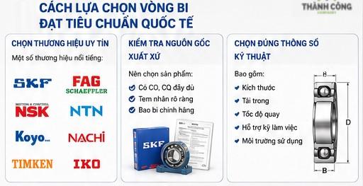 cach-lua-chon-vong-bi-bac-dan-dat-tieu-chuan