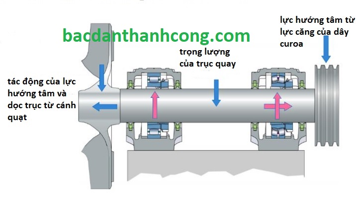 mo-phong-cac-loai-luc-tac-dong-va-phan-ung-cua-vong-bi-bac-dan-tren-quat-cong-nghiep