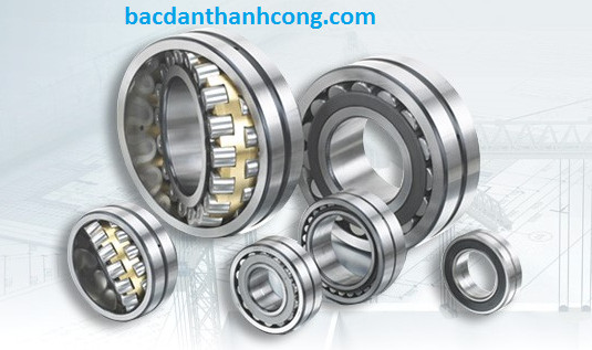 vong-bi-bac-dan-22326-cck-w33-skf