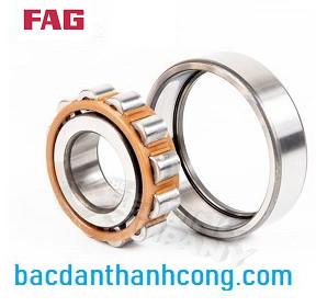 vong-bi-bac-dan-dua-fag-chinh-hang-tai-binh-thuan