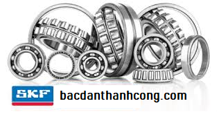 vong-bi-bac-dan-goi-do-skf-gia-re-uy-tin-tai-khanh-hoa