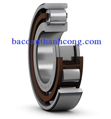 vong-bi-bac-dan-n308-ecp-skf