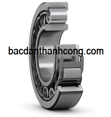 vong-bi-bac-dan-nu-424-skf