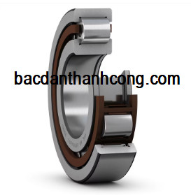 vong-bi-bac-dan-nup-2203-ecp-skf