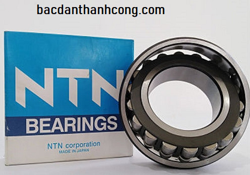 vong-bi-bac-dan-tang-trong-ntn-chinh-hang-tai-binh-dinh