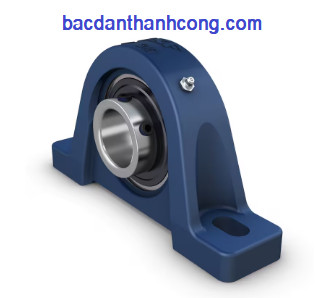 vong-bi-goi-do-ucp-205-asahi-skf-chinh-hang