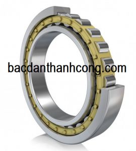Vòng bi bạc đạn NU 1996 MA SKF NSK NTN KOYO FAG NACHI 480x650x78 mm