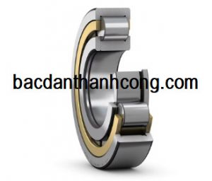 Vòng bi bạc đạn NUP 1017 ML SKF NSK NTN KOYO FAG NACHI 85x130x22 mm