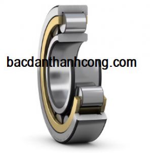 Vòng bi bạc đạn NUP 1880 MP SKF NSK NTN KOYO FAG NACHI 400x500x46 mm