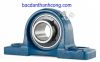 bac-dan-goi-do-ucp-204-asahi-skf-chinh-hang-gia-re - ảnh nhỏ  1