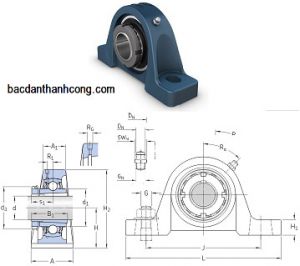 Bạc đạn gối đỡ UKP 207 SKF Asahi NSK NTN KOYO LK chính hãng giá rẻ