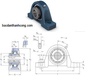 Bạc đạn gối đỡ UKP312 Asahi SKF NSK NTN chính hãng giá rẻ