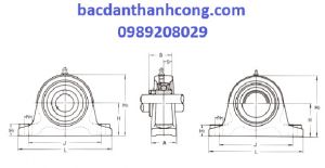 Bạc đạn gối đỡ UCIP209 Asahi chính hãng giá rẻ