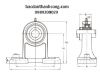 bac-dan-goi-do-ucph202-asahi-chinh-hang-gia-re - ảnh nhỏ  1